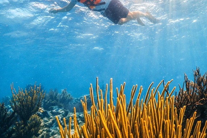 Heldagstur, der kombinerer Tulum-ruiner, snorkling ved revet, svømning i cenote og mayaceremoni fra Cancun, foto 27 | wizardtrip