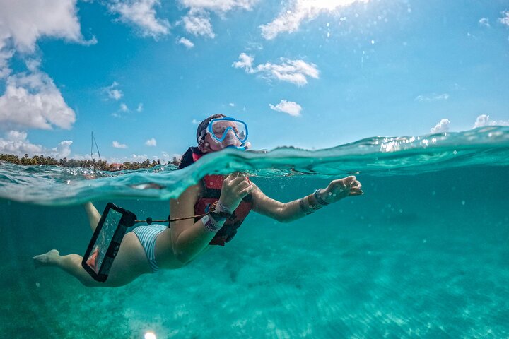 Snorkla med havssköldpaddor och utforska cenotes på en halvdagstur från Playa del Carmen, Mexiko, foto 8 | wizardtrip