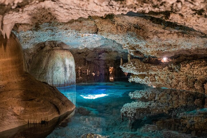 Snorkla med havssköldpaddor och utforska cenotes på en halvdagstur från Playa del Carmen, Mexiko, foto 15 | wizardtrip