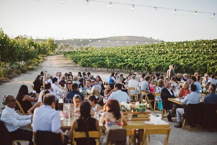 Temecula wijn tour met luxe partybus vervoer en wijnbezoeken, foto 22 | wizardtrip