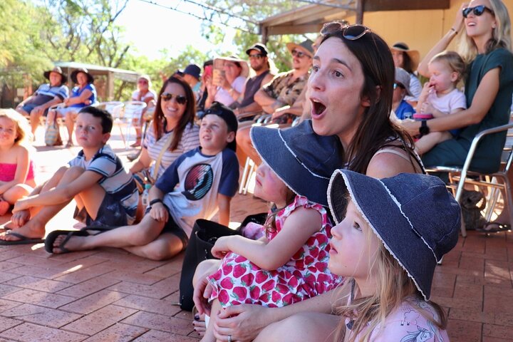 Malcolm Douglas Crocodile Park Tour Including Transportation | wizardtrip