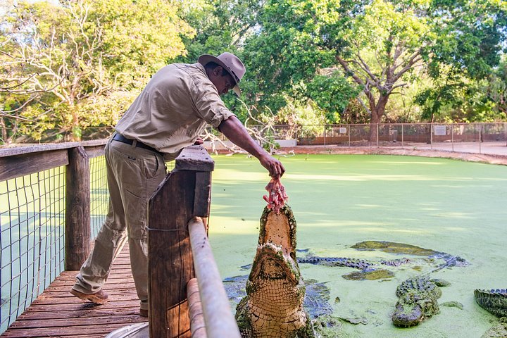 Explorez le Malcolm Douglas Crocodile Park de Broome, avec ses crocodiles, alligators et efforts de conservation, photo 11 | wizardtrip