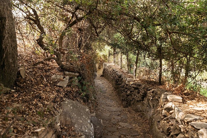 Explore a história e cultura de Naxos, visitando locais antigos, aldeias tradicionais e pedreiras de mármore, foto 26 | wizardtrip