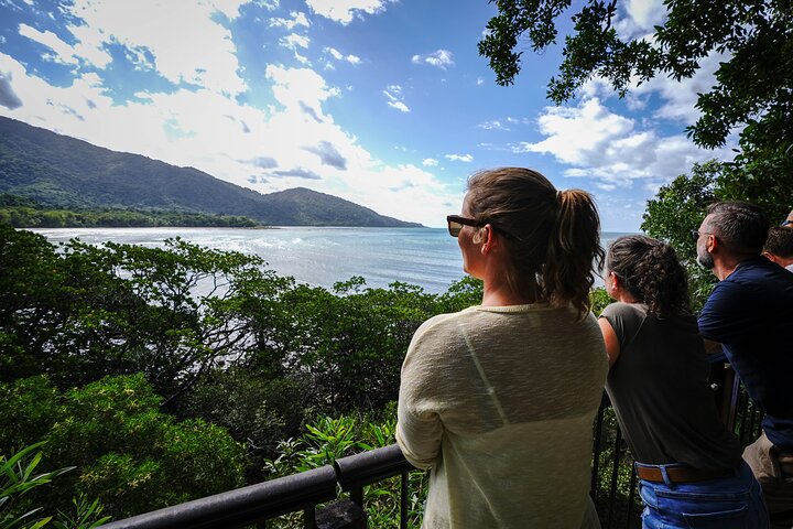 Daintree, Cape Tribulation & River Cruise von Port Douglas | wizardtrip