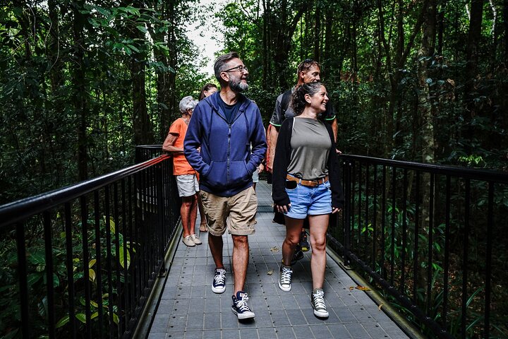 Erkunden Sie den uralten Daintree-Regenwald, fahren Sie auf dem Fluss und besuchen Sie Cape Tribulation auf dieser geführten Tour von Port Douglas, Foto 7 | wizardtrip