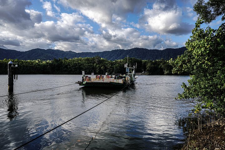 Erkunden Sie den uralten Daintree-Regenwald, fahren Sie auf dem Fluss und besuchen Sie Cape Tribulation auf dieser geführten Tour von Port Douglas, Foto 10 | wizardtrip