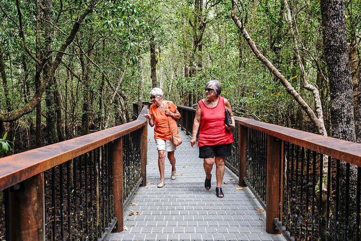 Erkunden Sie den uralten Daintree-Regenwald, fahren Sie auf dem Fluss und besuchen Sie Cape Tribulation auf dieser geführten Tour von Port Douglas, Foto 11 | wizardtrip