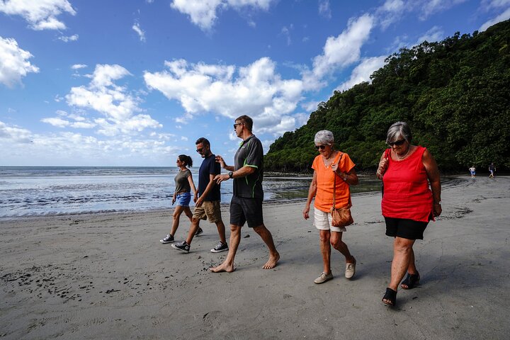 Erkunden Sie den uralten Daintree-Regenwald, fahren Sie auf dem Fluss und besuchen Sie Cape Tribulation auf dieser geführten Tour von Port Douglas, Foto 12 | wizardtrip