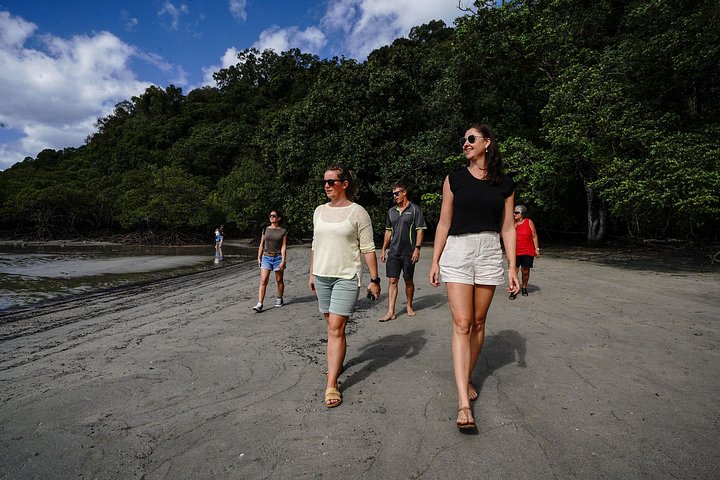 Erkunden Sie den uralten Daintree-Regenwald, fahren Sie auf dem Fluss und besuchen Sie Cape Tribulation auf dieser geführten Tour von Port Douglas, Foto 13 | wizardtrip