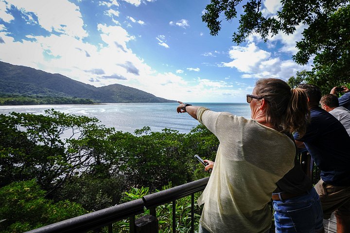 Erkunden Sie den uralten Daintree-Regenwald, fahren Sie auf dem Fluss und besuchen Sie Cape Tribulation auf dieser geführten Tour von Port Douglas, Foto 14 | wizardtrip