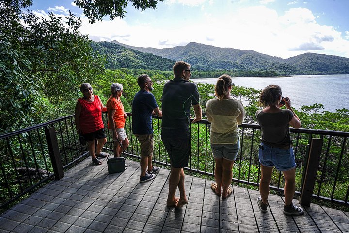 Erkunden Sie den uralten Daintree-Regenwald, fahren Sie auf dem Fluss und besuchen Sie Cape Tribulation auf dieser geführten Tour von Port Douglas, Foto 15 | wizardtrip