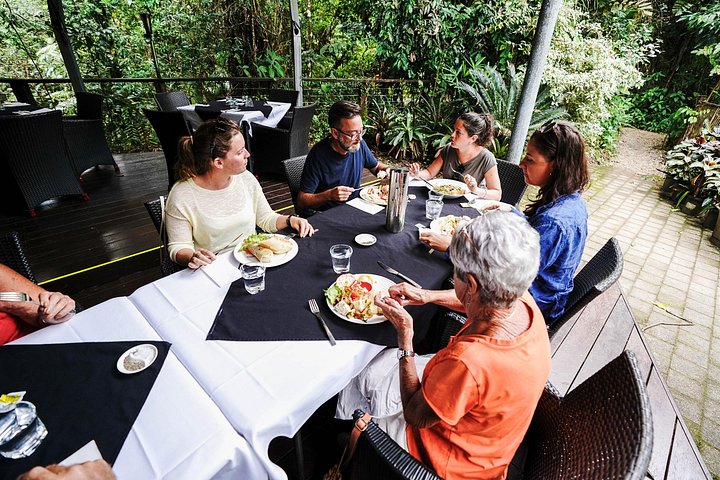 Erkunden Sie den uralten Daintree-Regenwald, fahren Sie auf dem Fluss und besuchen Sie Cape Tribulation auf dieser geführten Tour von Port Douglas, Foto 16 | wizardtrip