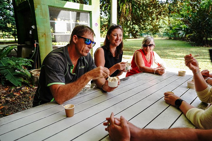 Erkunden Sie den uralten Daintree-Regenwald, fahren Sie auf dem Fluss und besuchen Sie Cape Tribulation auf dieser geführten Tour von Port Douglas, Foto 19 | wizardtrip