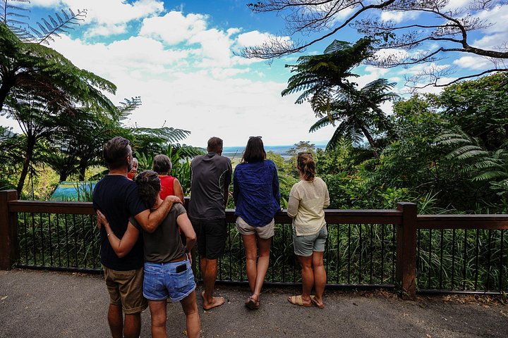 Erkunden Sie den uralten Daintree-Regenwald, fahren Sie auf dem Fluss und besuchen Sie Cape Tribulation auf dieser geführten Tour von Port Douglas, Foto 22 | wizardtrip