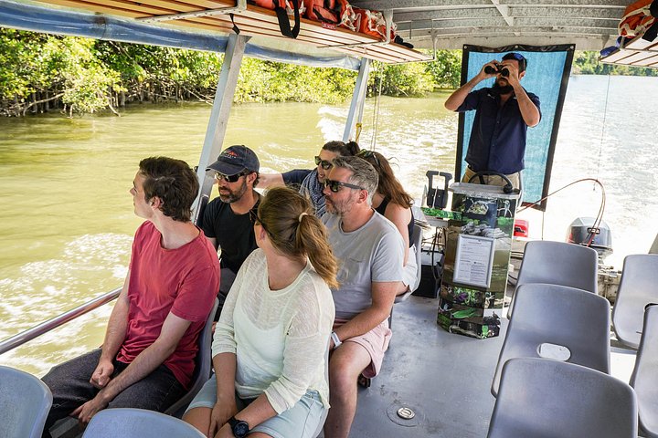 Erkunden Sie den uralten Daintree-Regenwald, fahren Sie auf dem Fluss und besuchen Sie Cape Tribulation auf dieser geführten Tour von Port Douglas, Foto 24 | wizardtrip