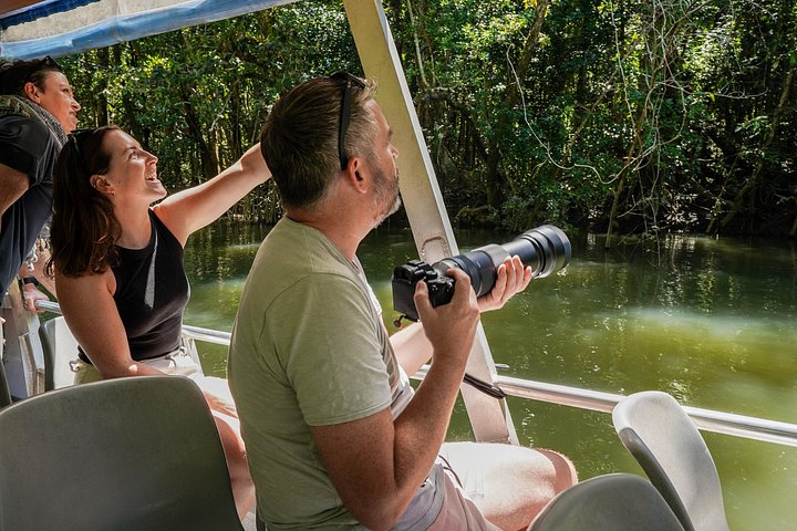 Erkunden Sie den uralten Daintree-Regenwald, fahren Sie auf dem Fluss und besuchen Sie Cape Tribulation auf dieser geführten Tour von Port Douglas, Foto 25 | wizardtrip