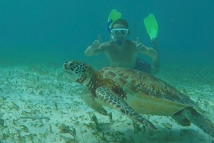 Hol Chan Snorkeling Tour Belize | Caye Caulker Marine Life | wizardtrip