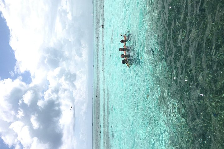Aventure de snorkeling au Belize, exploration de la vie marine et des récifs coralliens autour de Caye Caulker, photo 8 | wizardtrip