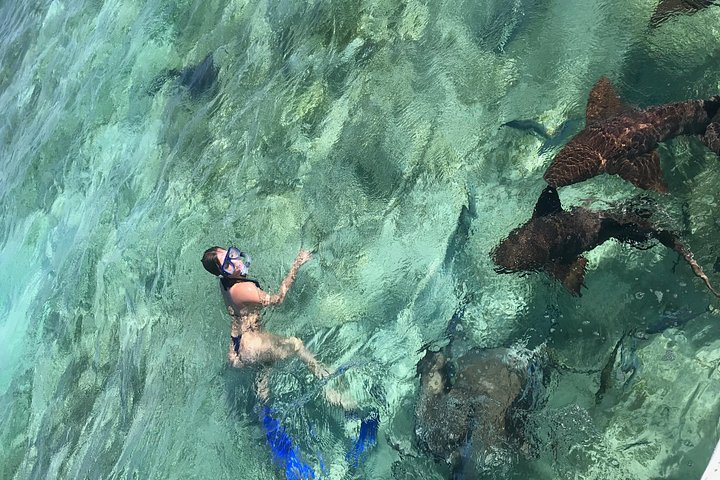 Aventure de snorkeling au Belize, exploration de la vie marine et des récifs coralliens autour de Caye Caulker, photo 13 | wizardtrip