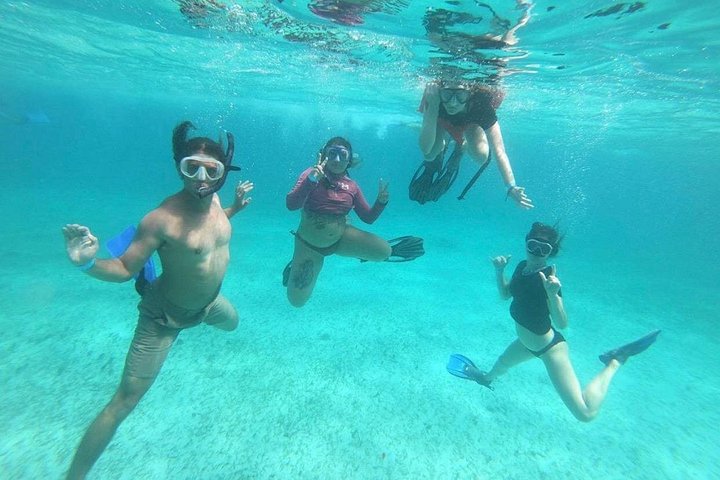 Aventure de snorkeling au Belize, exploration de la vie marine et des récifs coralliens autour de Caye Caulker, photo 15 | wizardtrip