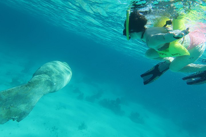 Aventure de snorkeling au Belize, exploration de la vie marine et des récifs coralliens autour de Caye Caulker, photo 17 | wizardtrip