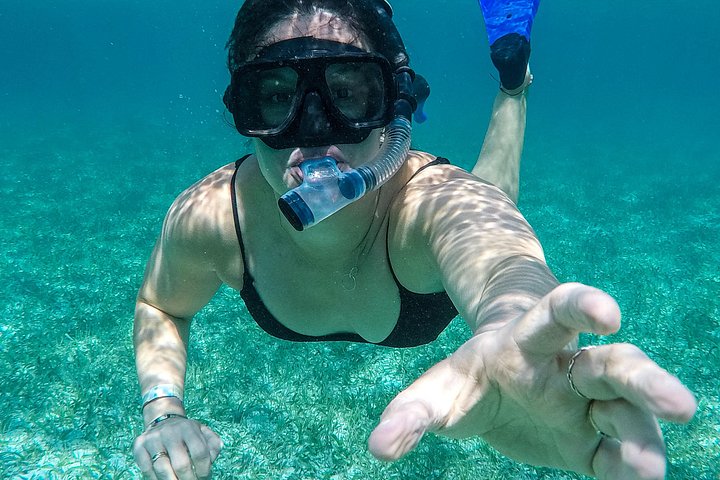 Aventure de snorkeling au Belize, exploration de la vie marine et des récifs coralliens autour de Caye Caulker, photo 20 | wizardtrip