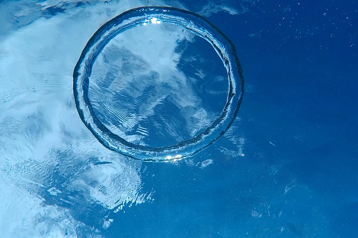 Aventure de snorkeling au Belize, exploration de la vie marine et des récifs coralliens autour de Caye Caulker, photo 28 | wizardtrip