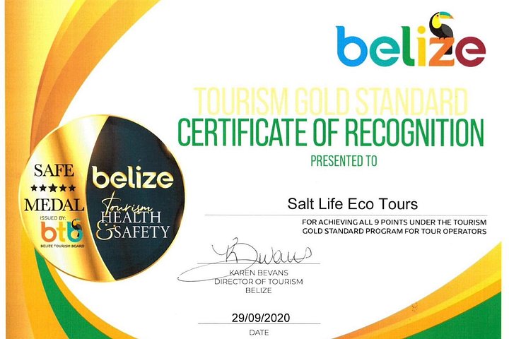 Aventure de snorkeling au Belize, exploration de la vie marine et des récifs coralliens autour de Caye Caulker, photo 30 | wizardtrip