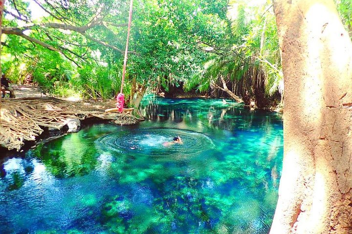 Cascades de Materuni, Tour du Café & Sources Chaudes de Kikuletwa | wizardtrip