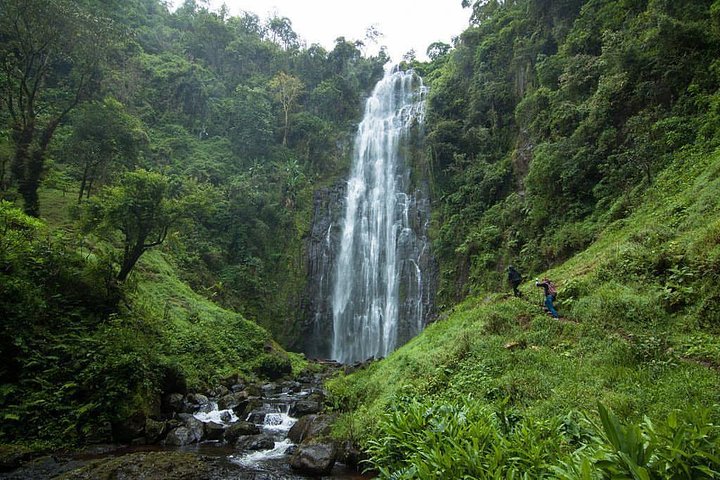 Explore as Cachoeiras de Materuni, plantações de café e Fontes Termais de Kikuletwa perto de Arusha, Tanzânia, foto 9 | wizardtrip