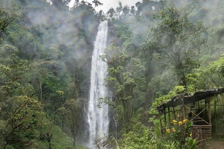 Explore as Cachoeiras de Materuni, plantações de café e Fontes Termais de Kikuletwa perto de Arusha, Tanzânia, foto 10 | wizardtrip