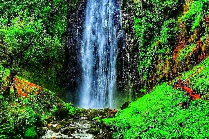 Explore as Cachoeiras de Materuni, plantações de café e Fontes Termais de Kikuletwa perto de Arusha, Tanzânia, foto 11 | wizardtrip