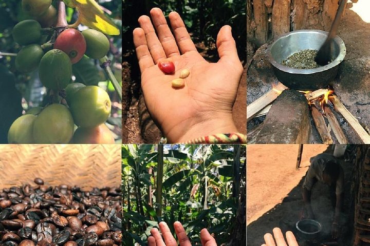 Explore as Cachoeiras de Materuni, plantações de café e Fontes Termais de Kikuletwa perto de Arusha, Tanzânia, foto 12 | wizardtrip