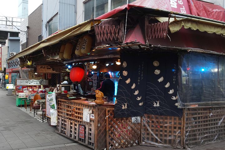 Recorrido nocturno a pie explorando los barrios únicos de Osaka, comida callejera y cultura oculta, foto 16 | wizardtrip