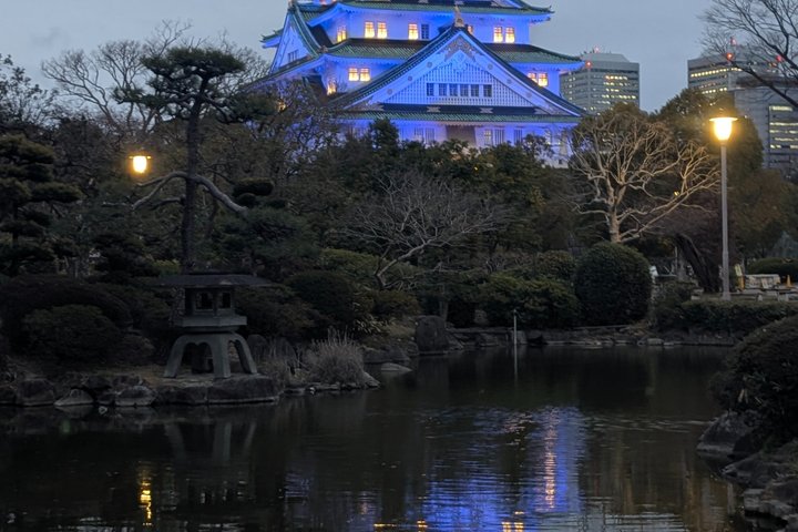 Osaka wandeltocht die levendige straten, markten en culturele bezienswaardigheden verkent, foto 10 | wizardtrip