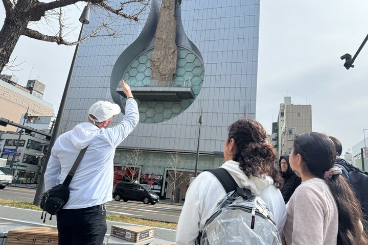 Osaka wandeltocht die levendige straten, markten en culturele bezienswaardigheden verkent, foto 11 | wizardtrip