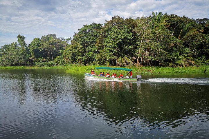 Panama-Kanal-Bootsafari mit Casco Viejo Brunch OHNE EXTRAKOSTEN! | wizardtrip