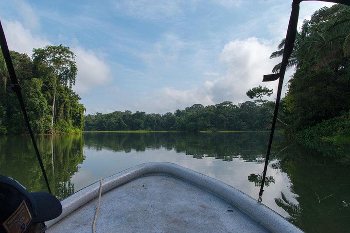 Safari in barca sul Lago Gatún, osservazione della fauna selvatica del Canale di Panama e brunch a Casco Viejo, foto 7 | wizardtrip