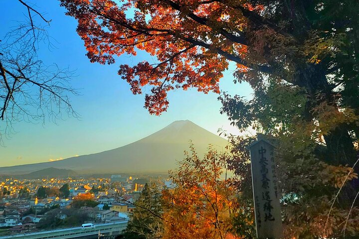 東京発の富士山と箱根へのプライベート日帰りツアー。景色の良い景色と文化的な場所が特徴です、写真11 | wizardtrip