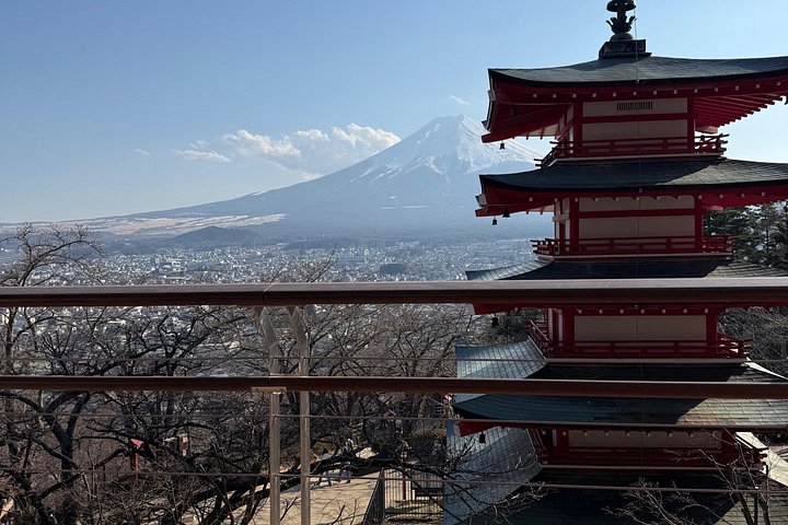 東京発の富士山と箱根へのプライベート日帰りツアー。景色の良い景色と文化的な場所が特徴です、写真12 | wizardtrip