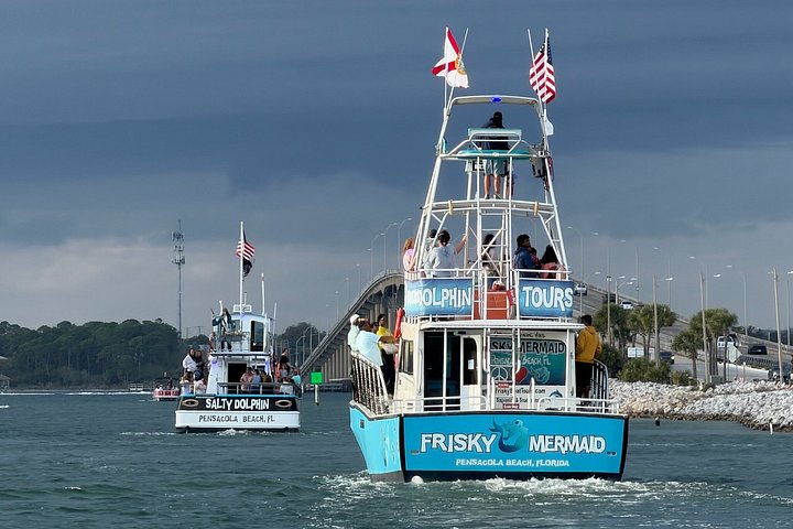 Dolphin watching cruise on the Frisky Mermaid boat in Pensacola Beach, Florida, photo 6 | wizardtrip