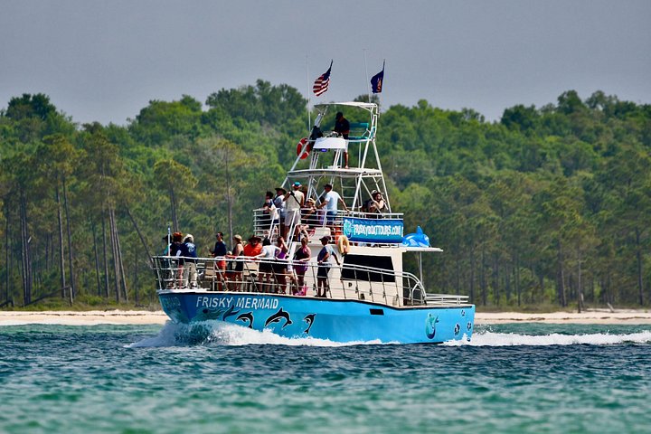 Dolphin watching cruise on the Frisky Mermaid boat in Pensacola Beach, Florida, photo 7 | wizardtrip