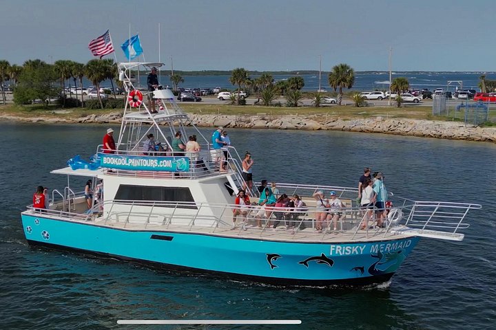 Dolphin watching cruise on the Frisky Mermaid boat in Pensacola Beach, Florida, photo 8 | wizardtrip