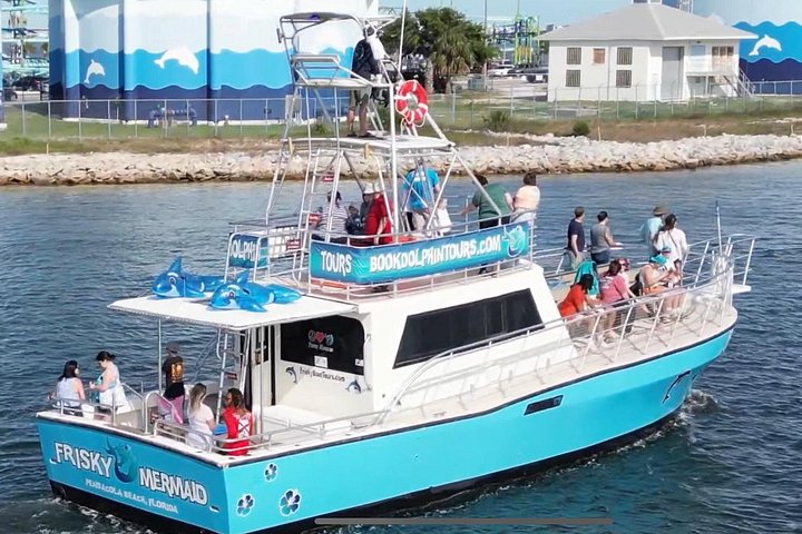 Dolphin watching cruise on the Frisky Mermaid boat in Pensacola Beach, Florida, photo 10 | wizardtrip