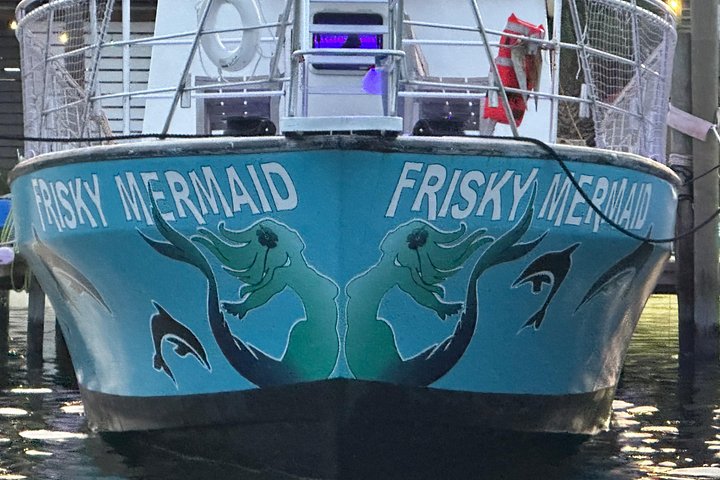 Dolphin watching cruise on the Frisky Mermaid boat in Pensacola Beach, Florida, photo 11 | wizardtrip