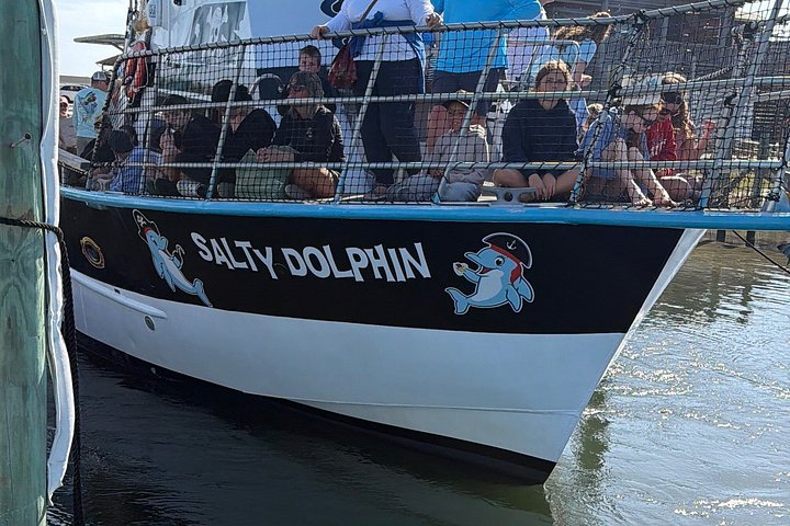 Dolphin watching cruise on the Frisky Mermaid boat in Pensacola Beach, Florida, photo 19 | wizardtrip