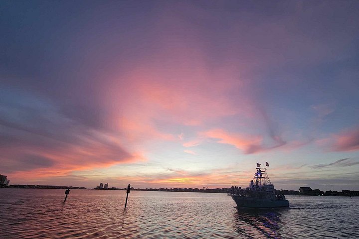 Dolphin watching cruise on the Frisky Mermaid boat in Pensacola Beach, Florida, photo 21 | wizardtrip