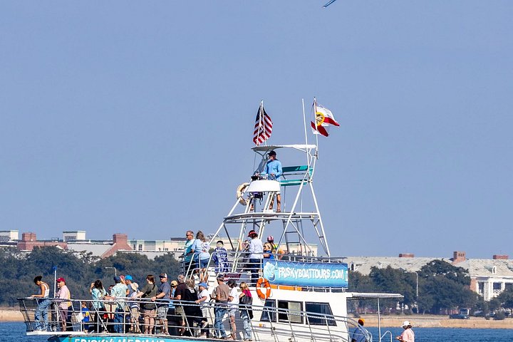 Dolphin watching cruise on the Frisky Mermaid boat in Pensacola Beach, Florida, photo 26 | wizardtrip