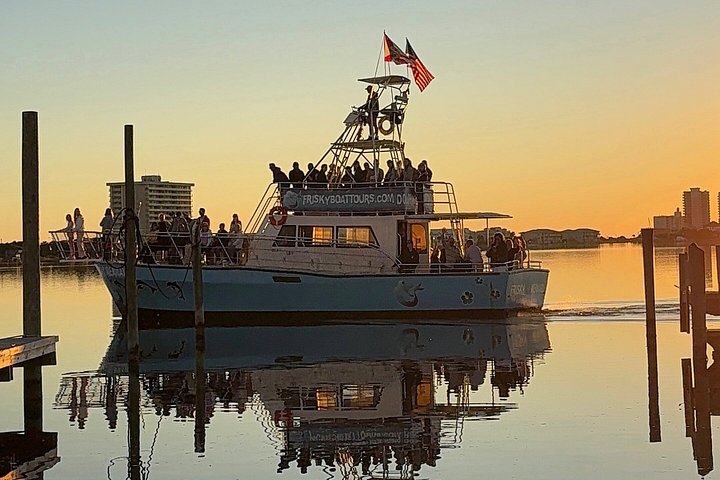 Dolphin watching cruise on the Frisky Mermaid boat in Pensacola Beach, Florida, photo 27 | wizardtrip