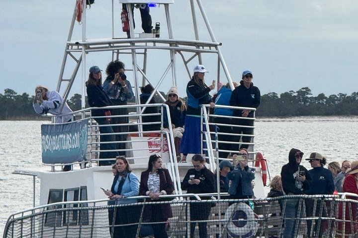 Dolphin watching cruise on the Frisky Mermaid boat in Pensacola Beach, Florida, photo 29 | wizardtrip